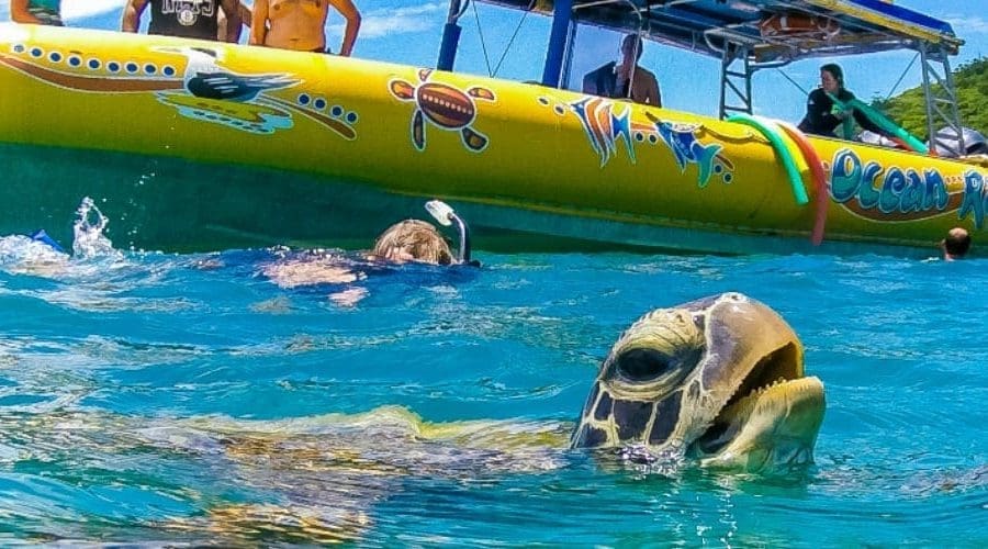 whitsundays snorkelling